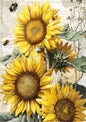 Vintage Sunflower Painting | A3 Satin Print | No.1