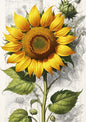 Vintage Sunflower Painting | A3 Satin Print | No.5
