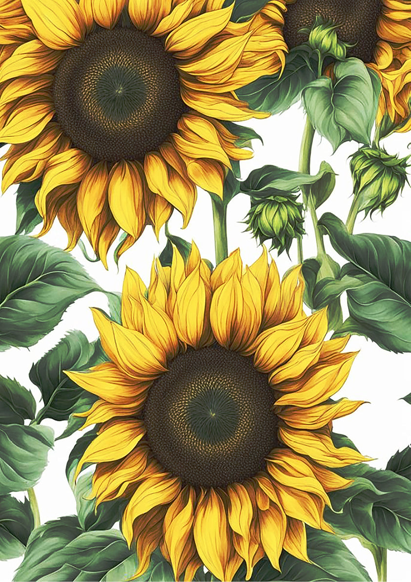 Vintage Sunflower Painting | A3 Satin Print | No.8