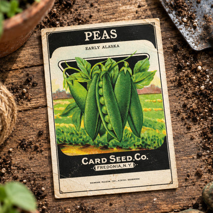 A vintage-style seed packet for 'PEAS Early Alaska' by Card Seed Co., featuring an illustration of green pea pods on a leafy plant against a field background, set against a neutral gray gradient backdrop.