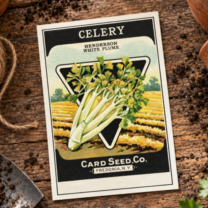 Vintage Gardening Seed Packet Art Postcards | Pack of 8 | No.4