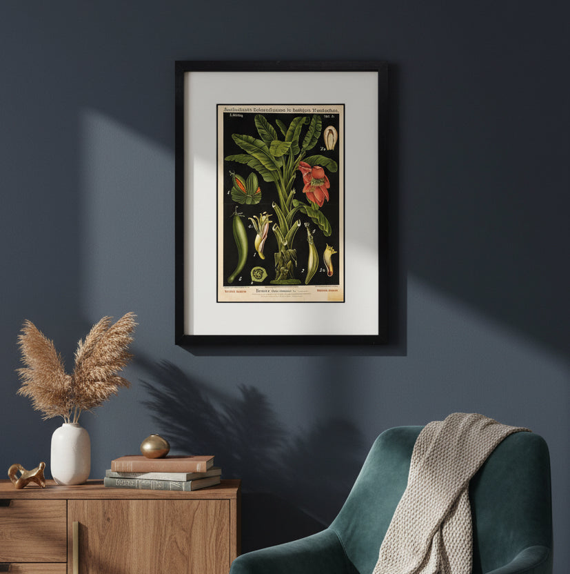 Vintage German Botanical Illustration A3 Print | Luxury Satin 285gsm | No.1