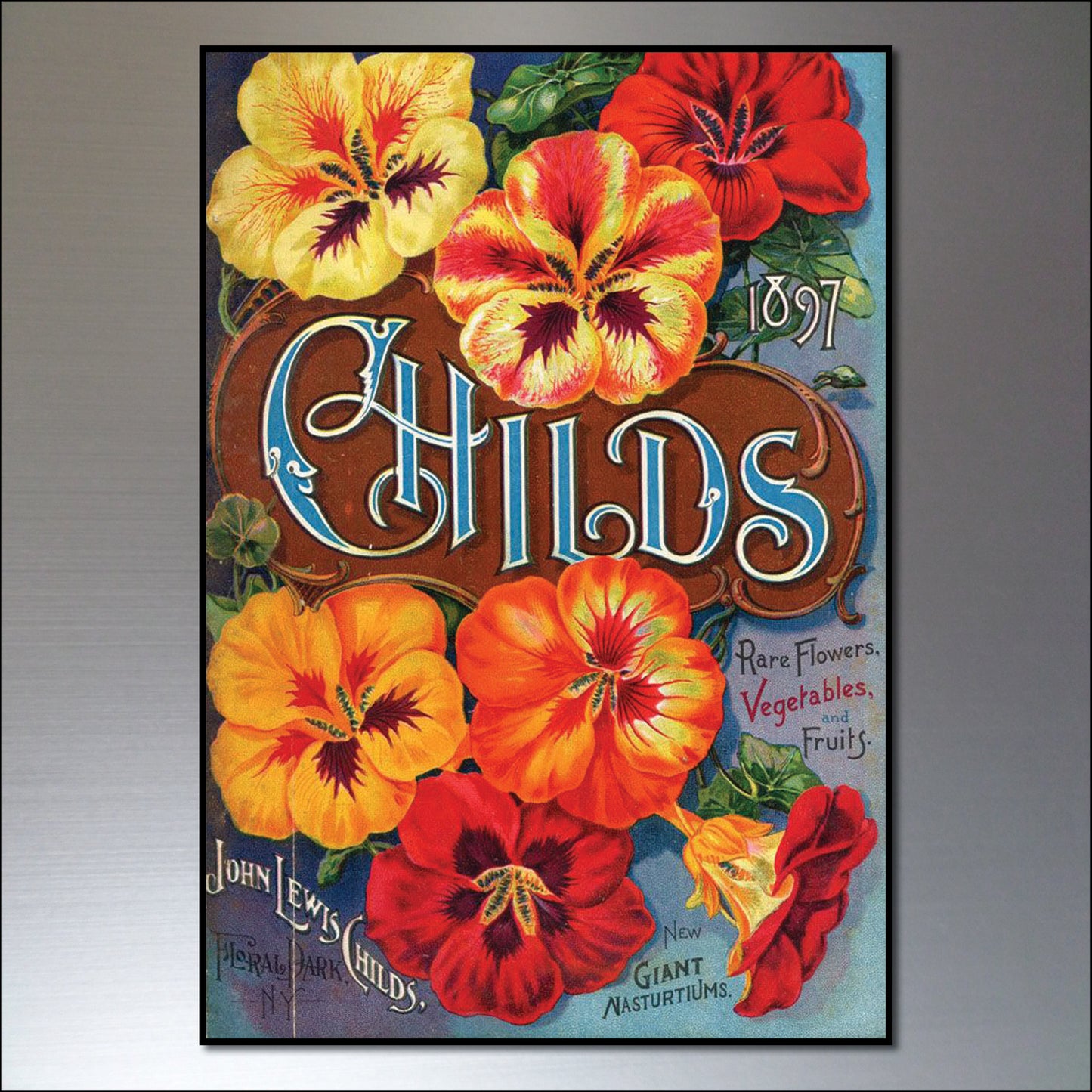 Vintage Botanical Seed Packet Fridge Magnets | Set of 8 | No.1