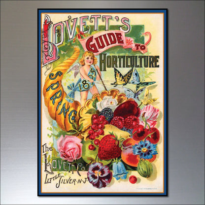 Vintage Botanical Seed Packet Fridge Magnets | Set of 8 | No.1
