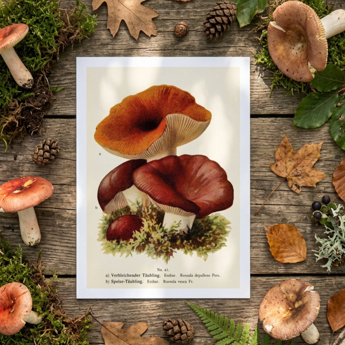 A vertical framed-style art print showing three mushrooms on a textured beige background with small printed text at the bottom, displayed against a gray gradient backdrop.