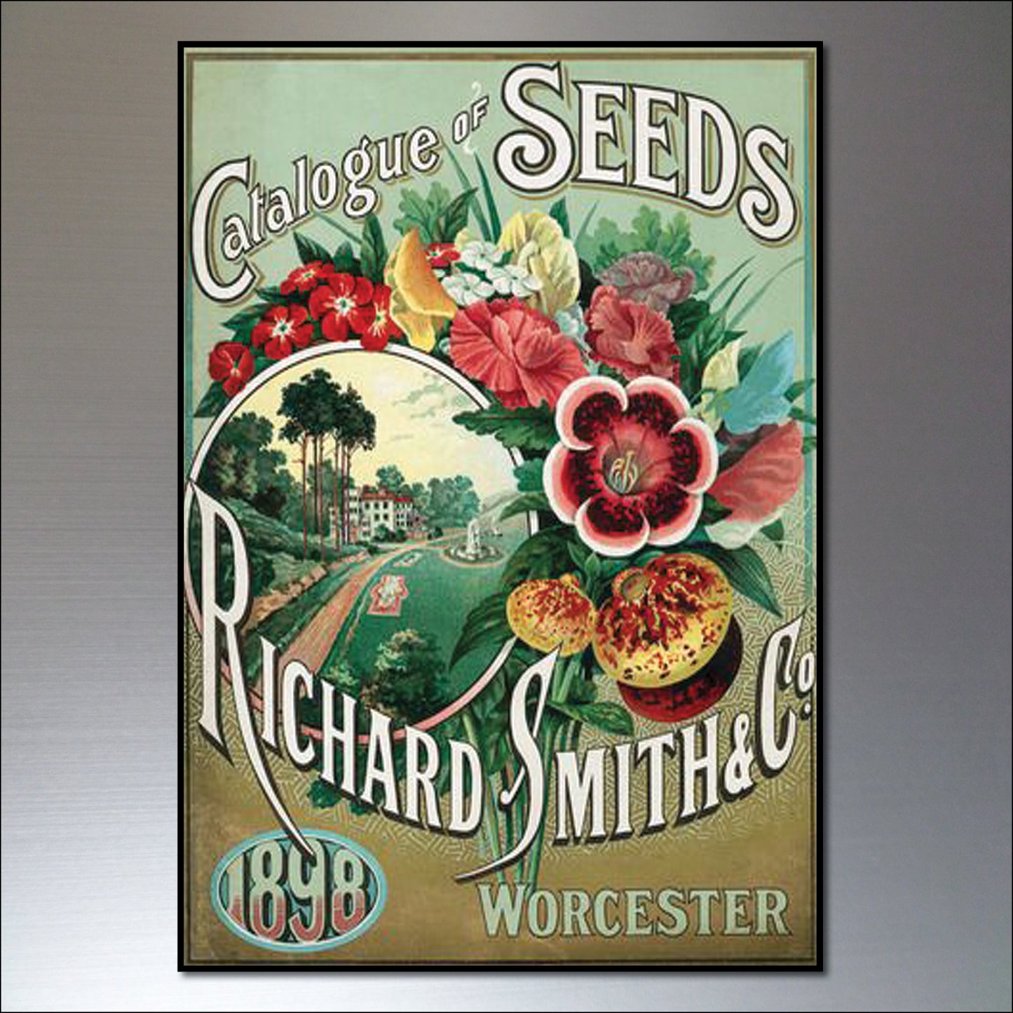 Vintage Botanical Seed Packet Fridge Magnets | Set of 8 | No.1