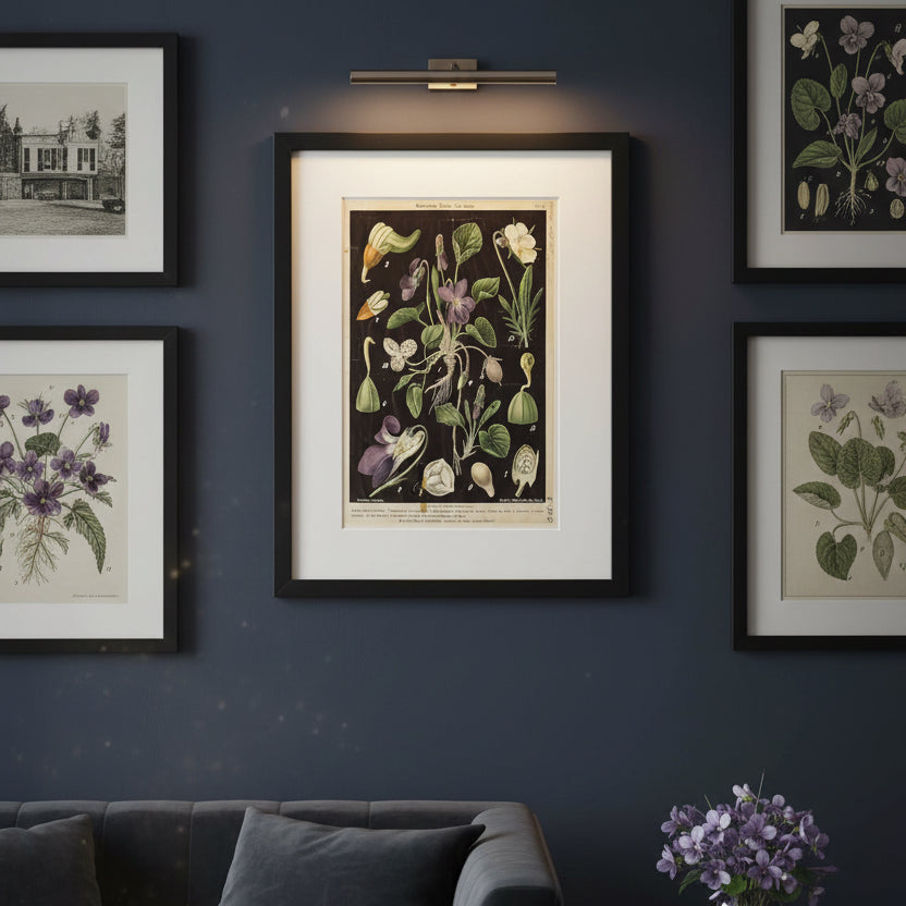A framed botanical art print featuring vintage scientific illustrations of flowers and leaves on a dark background, surrounded by a wide white mat and a black frame.
