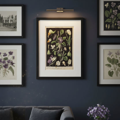 A framed botanical art print featuring vintage scientific illustrations of flowers and leaves on a dark background, surrounded by a wide white mat and a black frame.