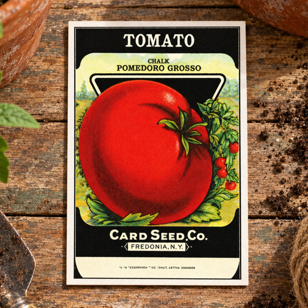 A vintage-style tomato seed card labeled 'TOMATO' with 'CHALK POMEDORO GROSSO' and 'Card Seed Co. Fredonia, N.
