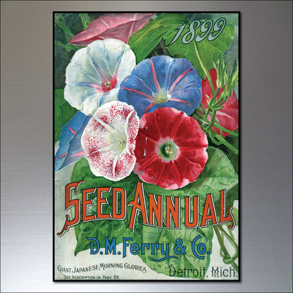 Vintage Botanical Seed Packet Fridge Magnets | Set of 8 | No.1