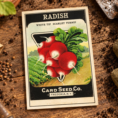 Vintage Gardening Seed Packet Art Postcards | Pack of 8 | No.4